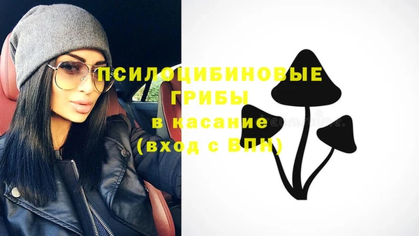 прущая мука Белокуриха