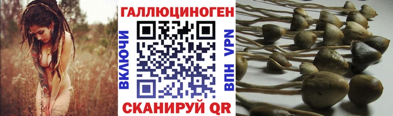 Купить закладки  Красноперекопск  Галлюциногенные грибы ЛСД 