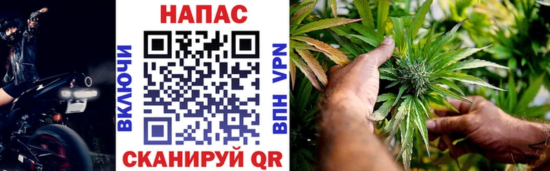 Купить где  Красноперекопск  МАРИХУАНА White Widow 
